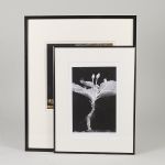 1747 5335 Fotografier